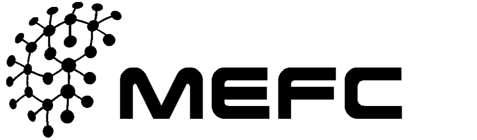 Middle East Fiber Cable